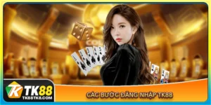 Các bước đăng nhập TK88