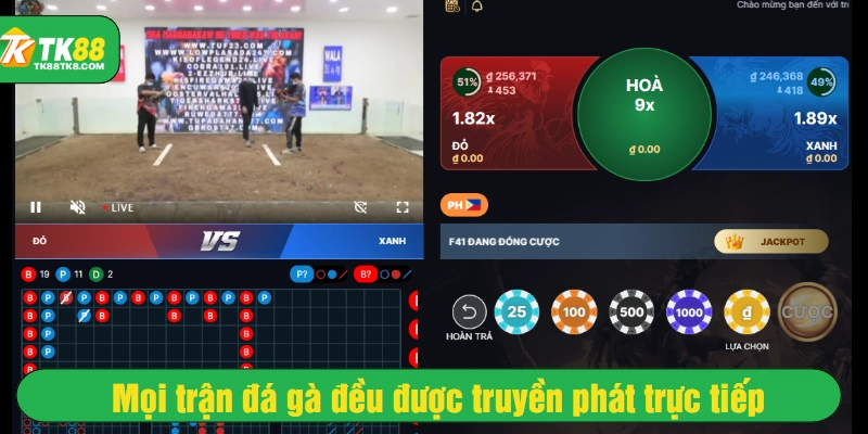 Mọi trận đá gà đều được truyền phát trực tiếp