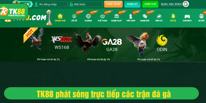 TK88 phát sóng trực tiếp các trận đá gà